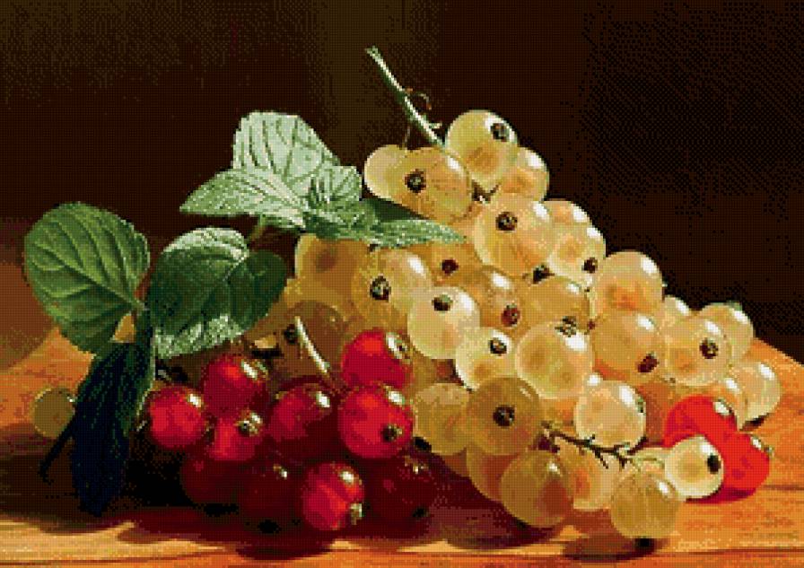 смородина - фрукты, ягоды - предпросмотр
