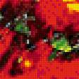 Предпросмотр схемы вышивки «абстрактные маки» (№947084)