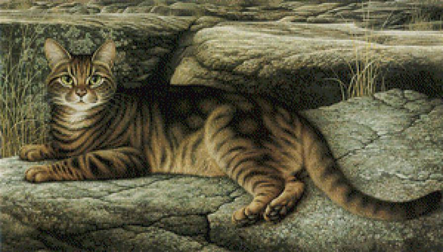 кот - кошка, кот - предпросмотр