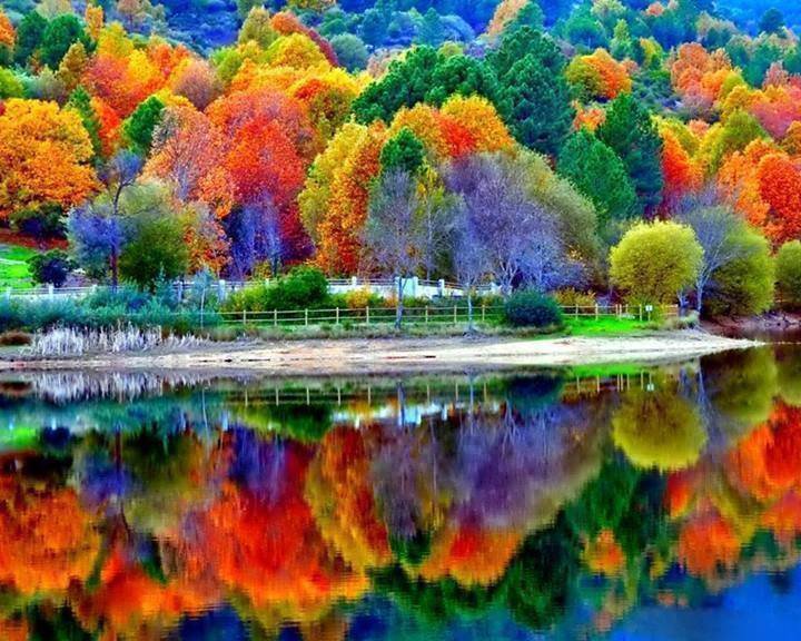 Paisaje de colores - оригинал