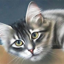 Схема вышивки «Котик»