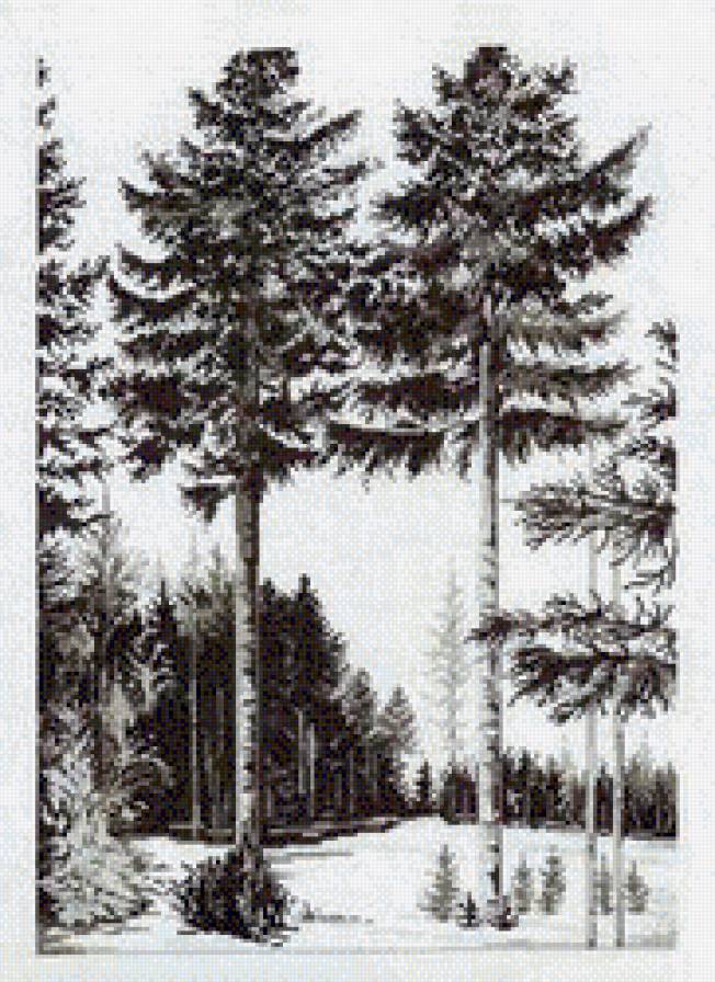 №947520 - предпросмотр