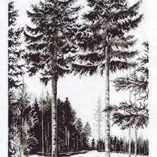 Схема вышивки «№947520»