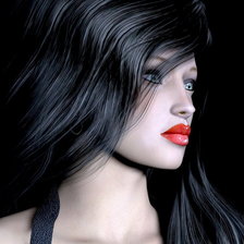 Схема вышивки «леди ночь»