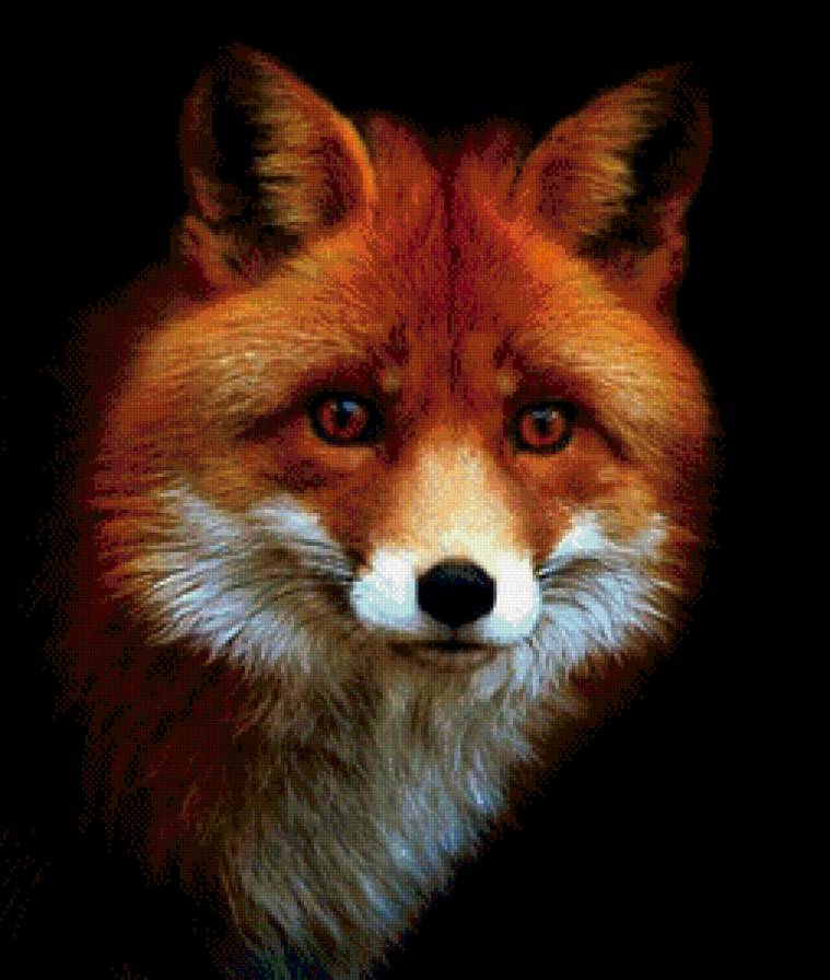 Лиса - лиса, животные - предпросмотр