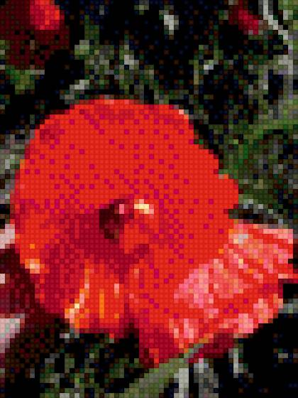 маки автор Воробьева Н.В. - предпросмотр