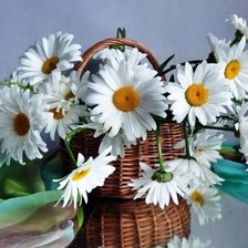 Схема вышивки «№948802»