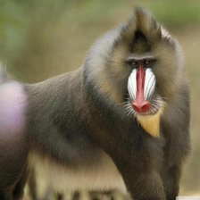 Схема вышивки «№948828»