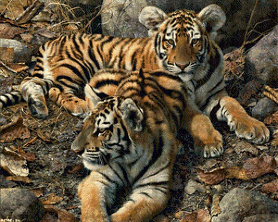 №949057 - природа, хищники, тигрята, отдых, пара - предпросмотр