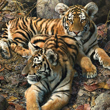 Схема вышивки «№949057»