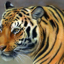 Схема вышивки «№949062»