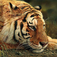 Схема вышивки «№949064»