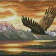 Схема вышивки «парящий орел»