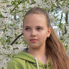 Схема вышивки «Анастасия»