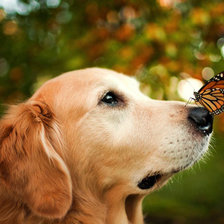 Схема вышивки «№949246»