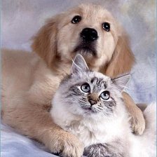 Схема вышивки «дружба»