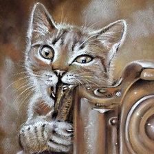 Схема вышивки «шкода»