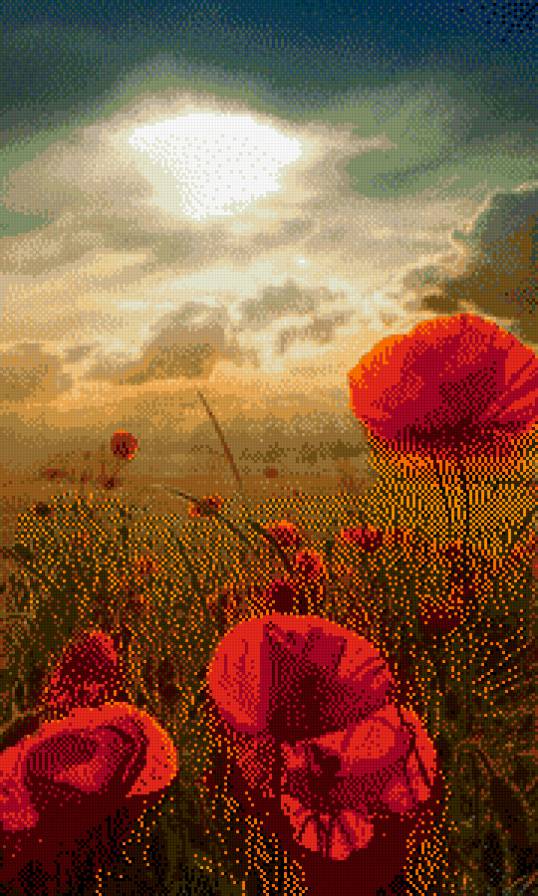 маки - пейзаж, цветы - предпросмотр