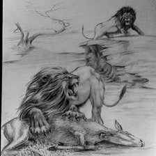 Схема вышивки «львы на охоте»