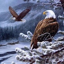 Схема вышивки «Ястребы»