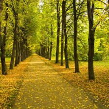 Схема вышивки «№949797»