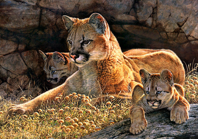 Серия "Дикая природа" - львица, львенок, природа, отдых, львы - оригинал