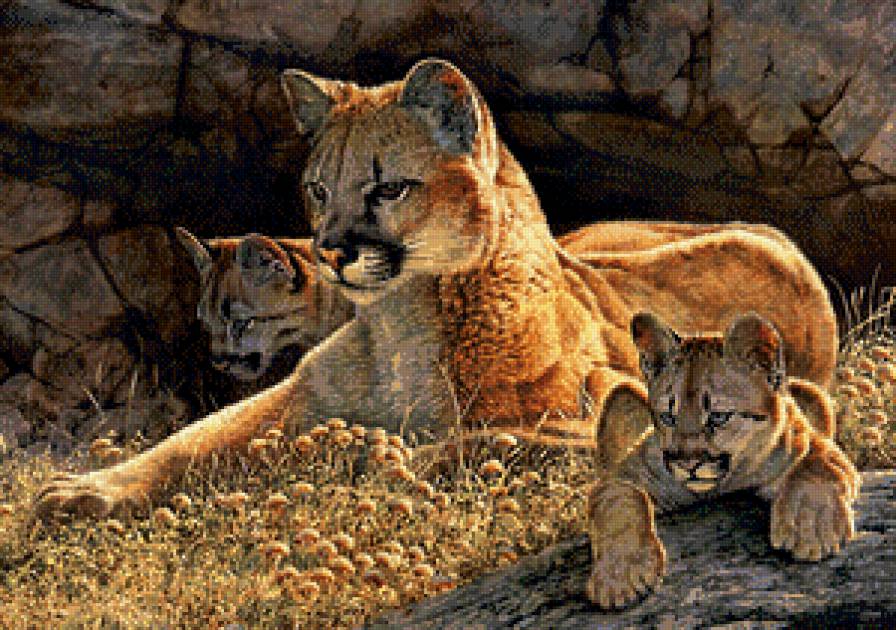 Серия "Дикая природа" - отдых, львица, львы, львенок, природа - предпросмотр