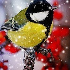 Схема вышивки «снегирь»