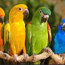 Схема вышивки «милахи»