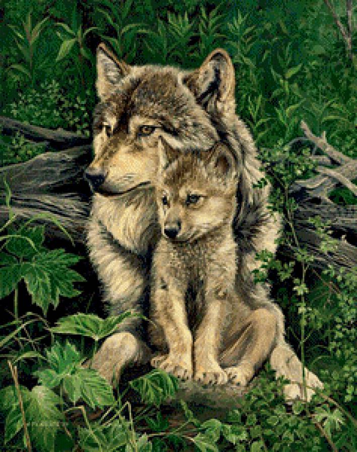 Серия "Дикая природа" - волчица, волченок, природа, нежность - предпросмотр