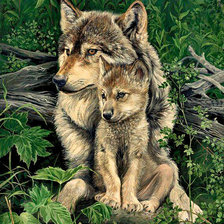 Схема вышивки «Серия "Дикая природа"»