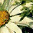 Предпросмотр схемы вышивки «Серия "Цветы, букеты"» (№950308)
