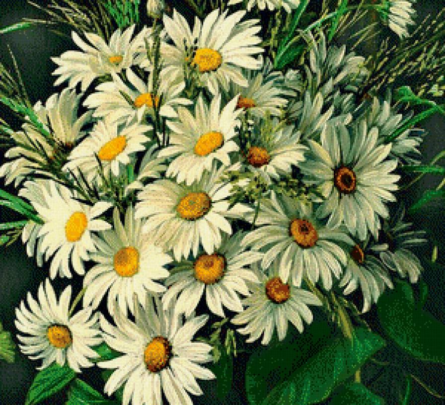 Серия "Цветы, букеты" - лето, ромашки, полевые цветы - предпросмотр