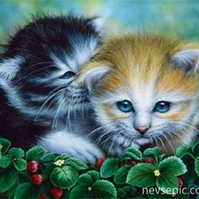 Схема вышивки «котята»