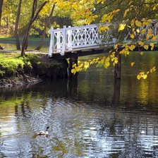 Схема вышивки «№950472»