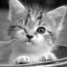 Схема вышивки «Киса»