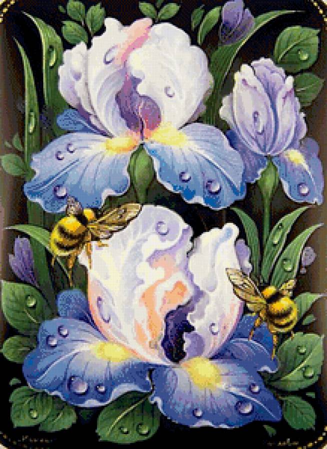 пчёлы на ирисах - роса, ирисы, картина, цветы, пчелы, насекомые - предпросмотр