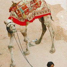 Схема вышивки «r»