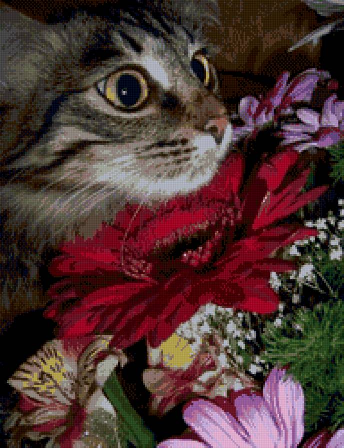 котик в цветах - кошки, животные - предпросмотр