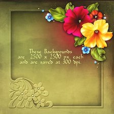 Схема вышивки «рамка для фото с петуниями»