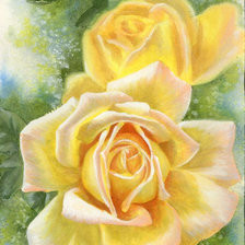 Схема вышивки «Розы»