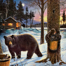 Схема вышивки «Серия "Дикая природа"»