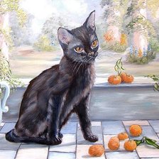 Схема вышивки «бомбейская кошка»