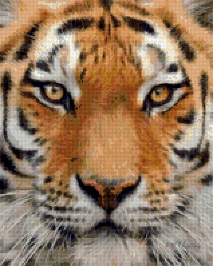 Взгляд 3 - животные - предпросмотр