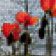 Предпросмотр схемы вышивки «Маки» (№951934)