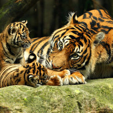 Схема вышивки «№951962»