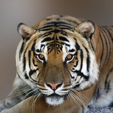 Схема вышивки «№951982»