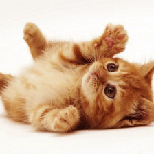 Схема вышивки «Милашка»