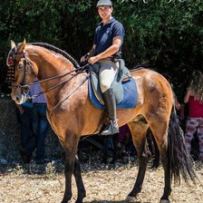 Схема вышивки «FOTO3»