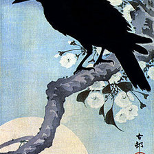 Схема вышивки «Ворон на вишневой ветке»